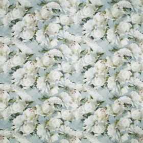 Audinys Peonia lino