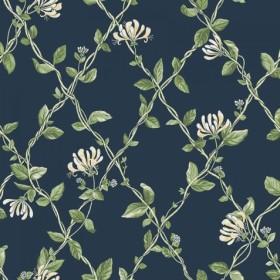 Tapetai Honeysuckle