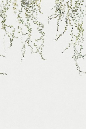 Tapetai Aralia