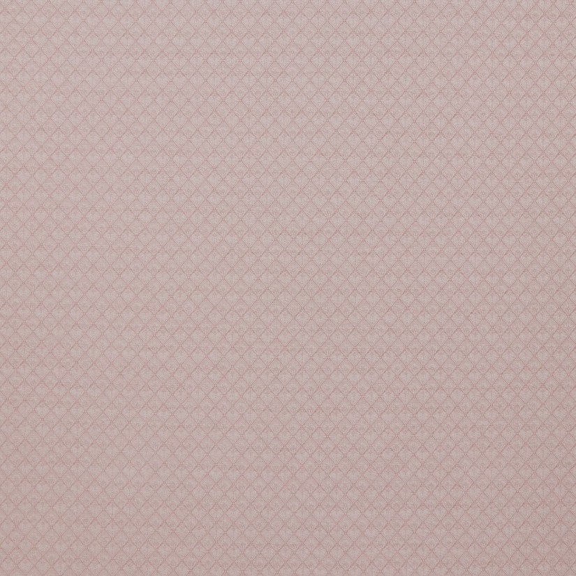 Audinys Alpine Shell Audinys Alpine Shell