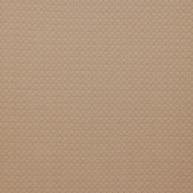 Audinys Alpine Ochre