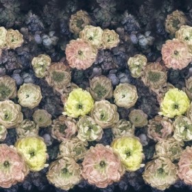 Tapetai Le Poeme de fleurs Midnight