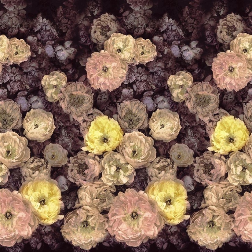 Tapetai Le Poeme de fleurs Rosewod Tapetai Le Poeme de fleurs Rosewod