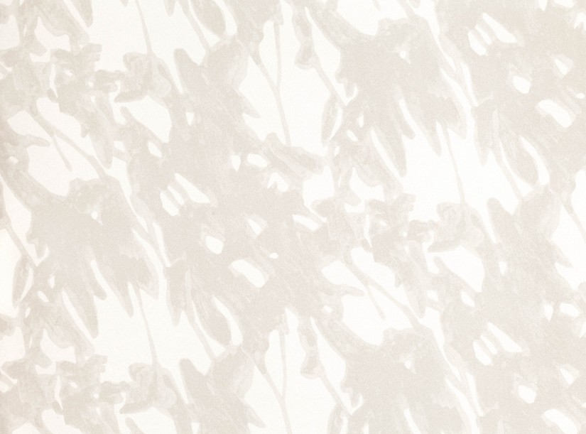 Tapetai Sombra Birch Tapetai Sombra Birch