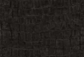 Tapetai Big croco