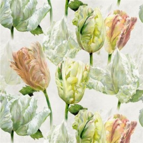 Audinys Spring tulip Buttermilk