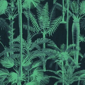 Tapetai Palmera cubana Dark