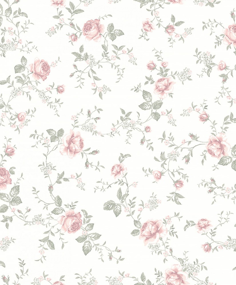 Tapetai Rose garden White Tapetai Rose garden White
