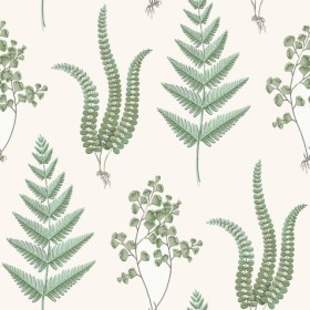 Tapetai Herba Green