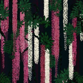 Tapetai Wisteria alba Magenta