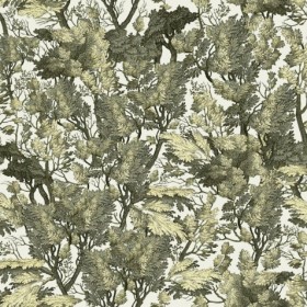 Tapetai Tree foliage Green