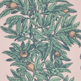 Tapetai Medlar Pink