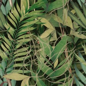 Tapetai Exotic garden Green