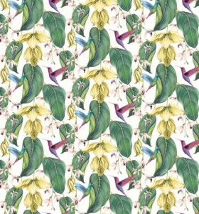 Audinys Trailing orchid outdoor Yellow