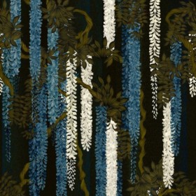 Tapetai Wisteria alba Ruisseau