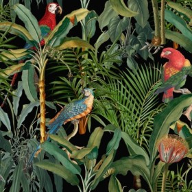 Tapetai Parrots of Brasil Antracite
