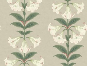 Tapetai Angel's trumpet Beige