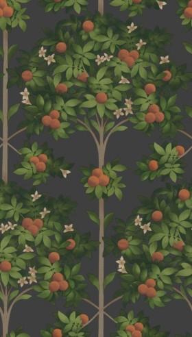 Tapetai Orange Blossom