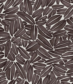Tapetai Succulente