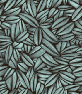 Tapetai Succulente