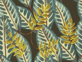 Tapetai Alocasia