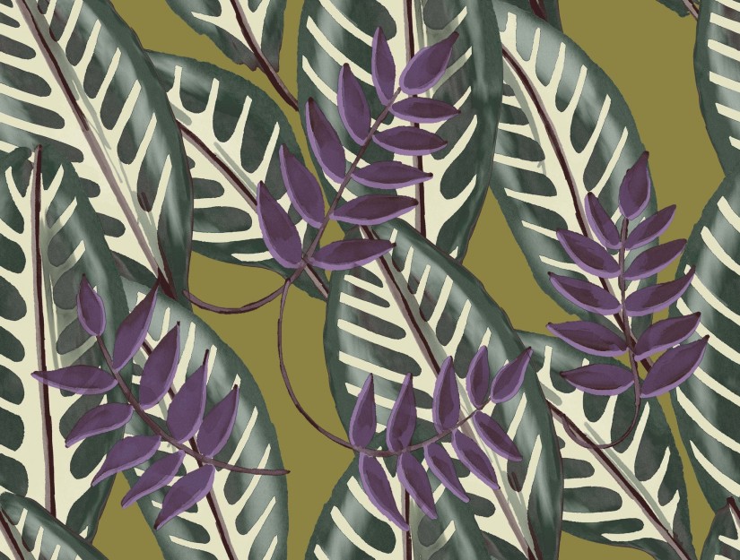 Tapetai Alocasia Tapetai Alocasia
