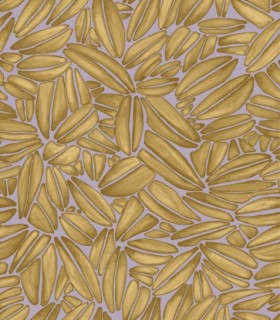 Tapetai Succulente