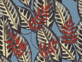 Tapetai Alocasia
