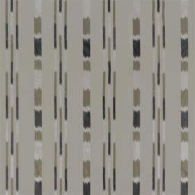 Audinys Pachra