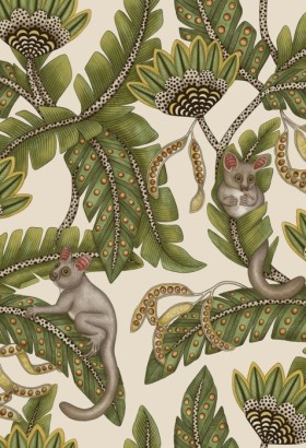 Tapetai Bush Baby