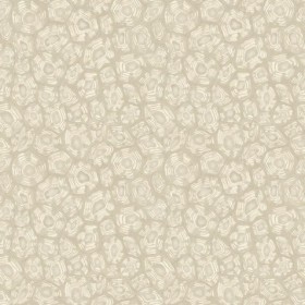 Tapetai Savanna Shell