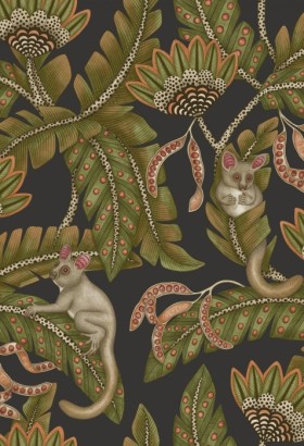 Tapetai Bush Baby