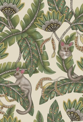 Tapetai Bush Baby