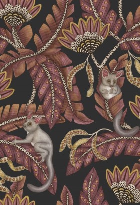 Tapetai Bush Baby