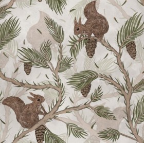 Tapetai Squirrel Mountain