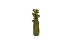 Dekoracija Coral