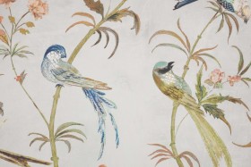 Tapetai Pluma