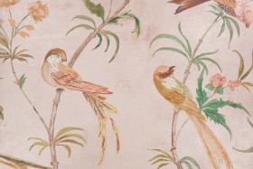 Tapetai Pluma