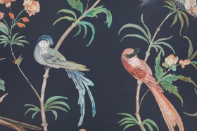 Tapetai Pluma
