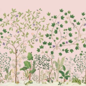 Tapetai Sycamore and Oak Wild Rose