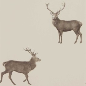 Tapetai Evesham Deer Birch