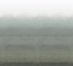 Tapetai Shoshi Graphite