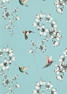 Tapeta Amazilia Sky