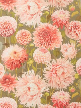 Tapetai Dahlia Coral