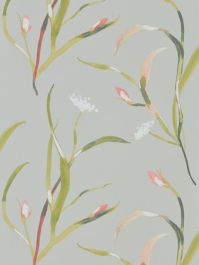 Tapetai Soana Coral