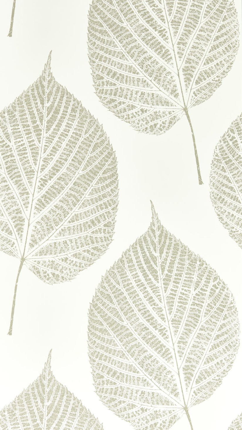 Tapetai Leaf Chalk Tapetai Leaf Chalk