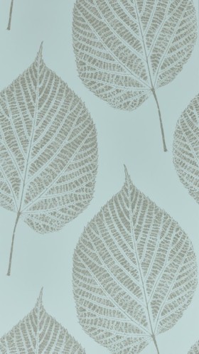 Tapetai Leaf Sky