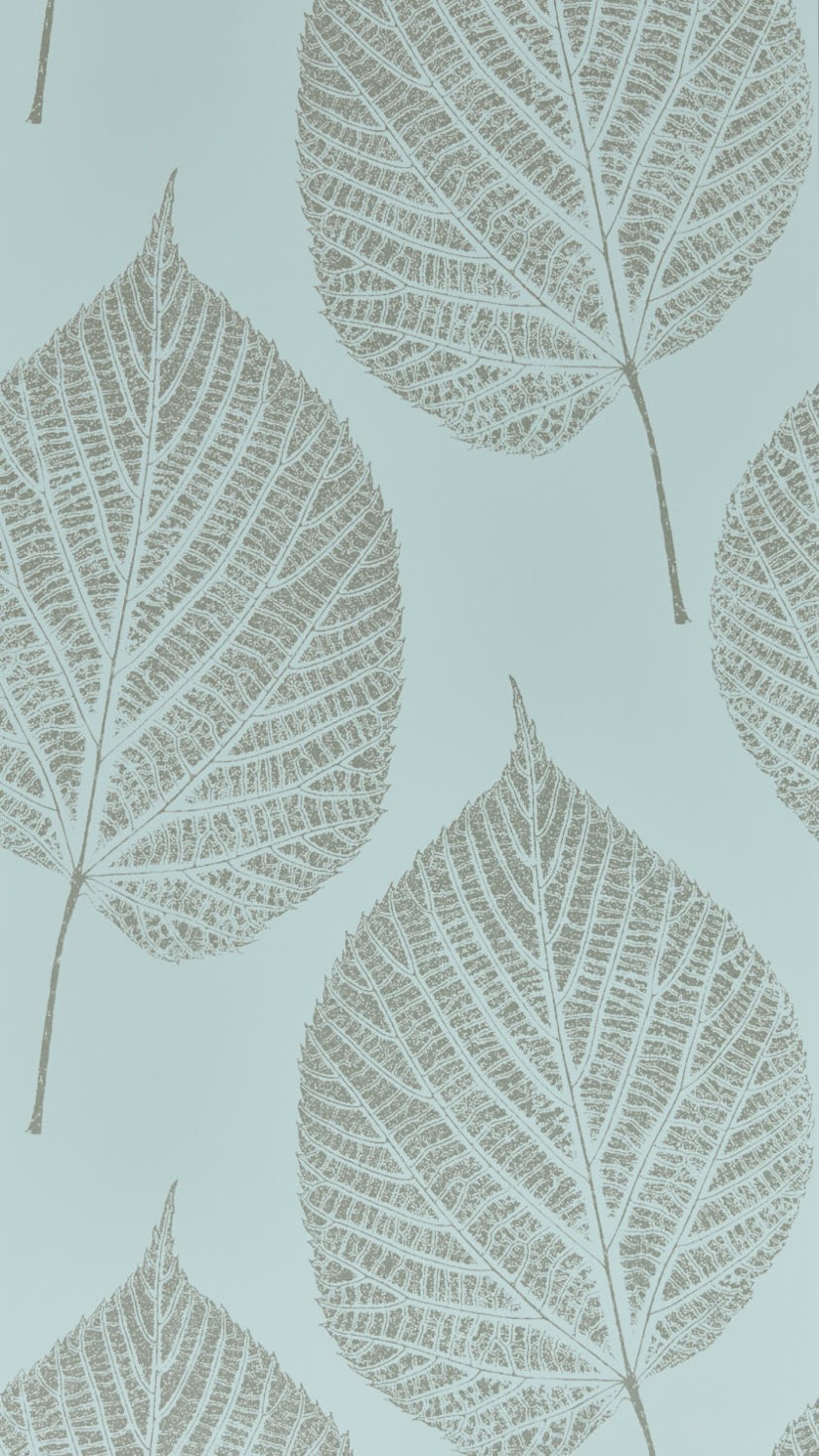 Tapetai Leaf Sky Tapetai Leaf Sky