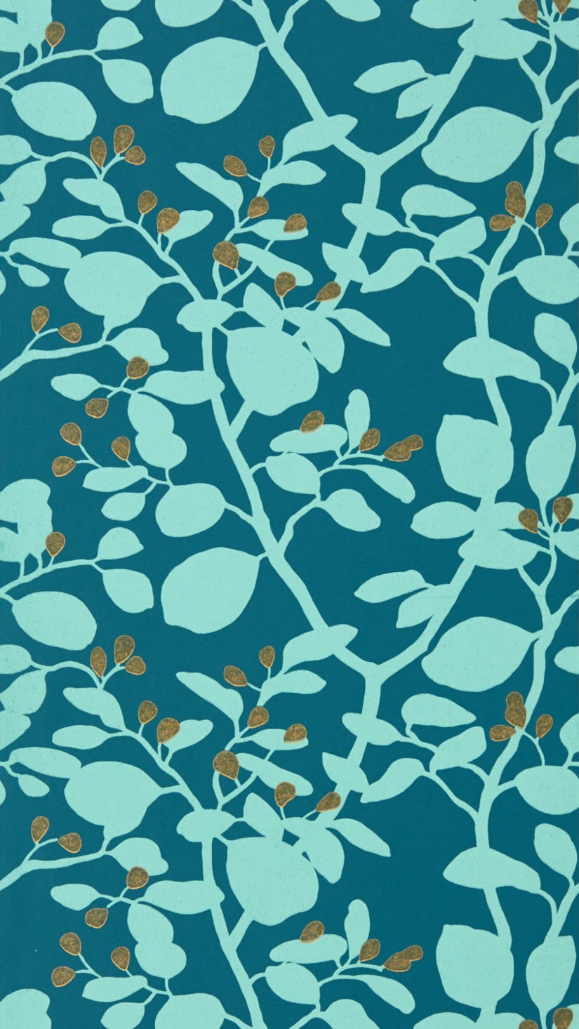 Tapetai Ardisia Amazonia/Teal Tapetai Ardisia Amazonia/Teal
