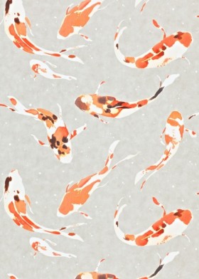 Tapetai Koi Paprika